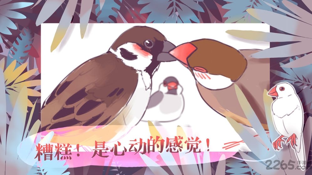 文鸟恋爱物语3