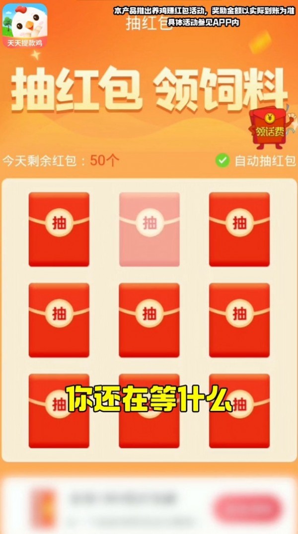 天天提款鸡-2 天天提款鸡