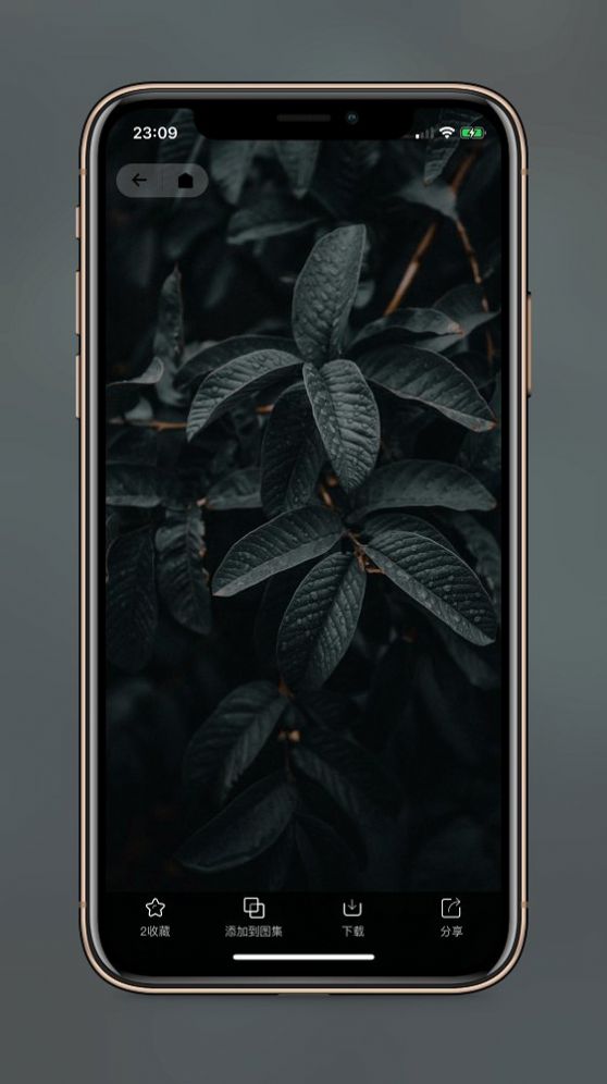 纸塘壁纸免费版1