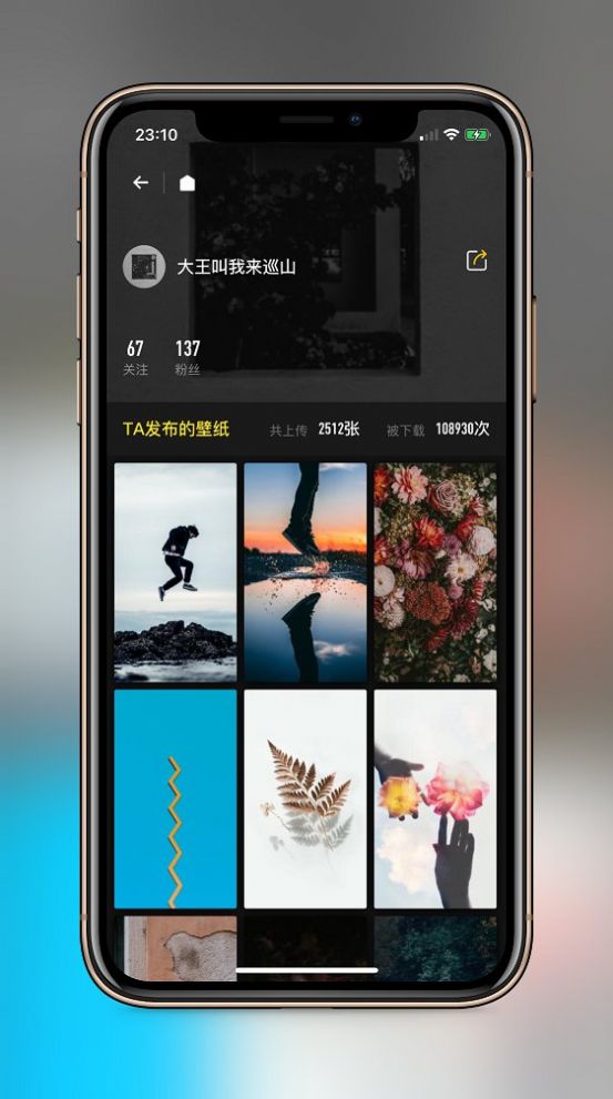 纸塘壁纸免费版2