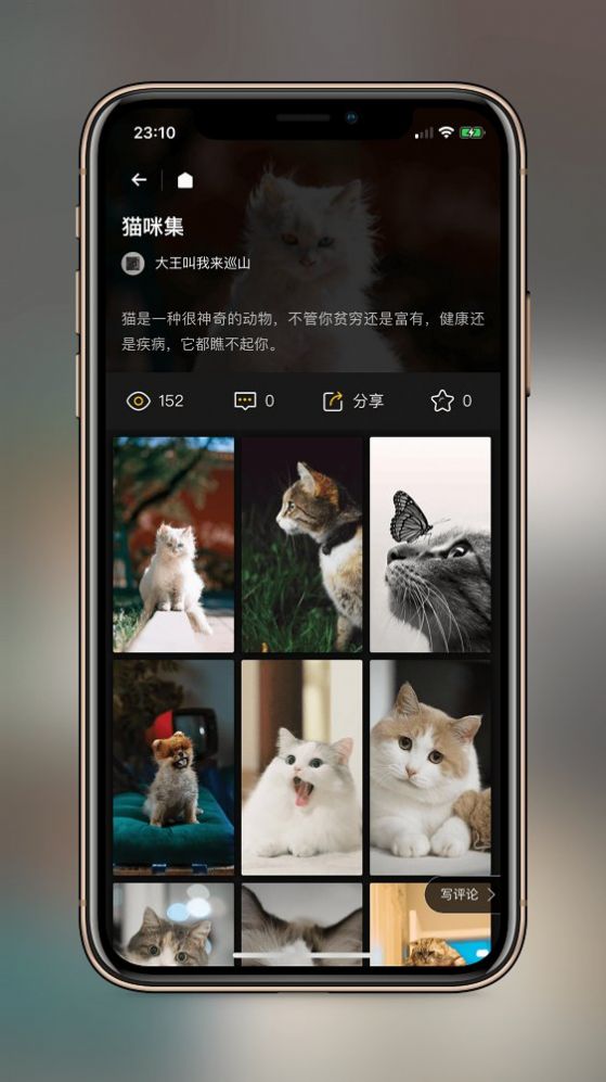 纸塘壁纸免费版3