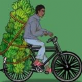 奥德彪逆袭记游戏最新安卓版