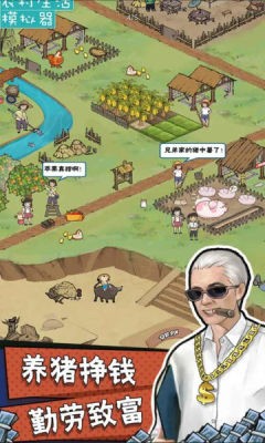 农村生活模拟器截图3