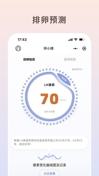 伴小律app