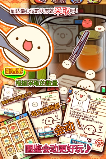 新种发现跳跳研究所2