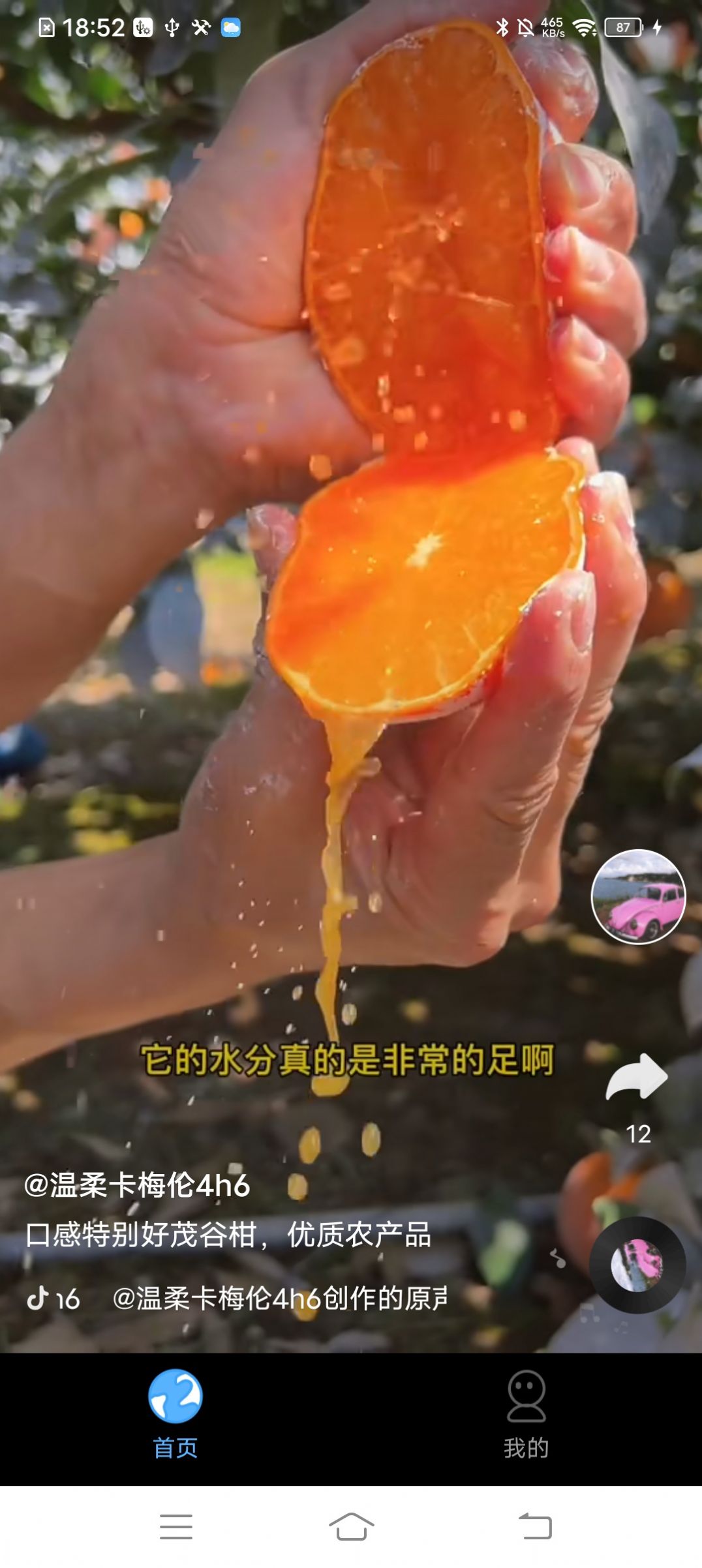 巅峰短剧软件2