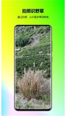 万能拍照识花app
