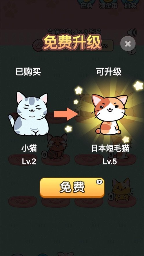 我的小猫红包版1.0.7