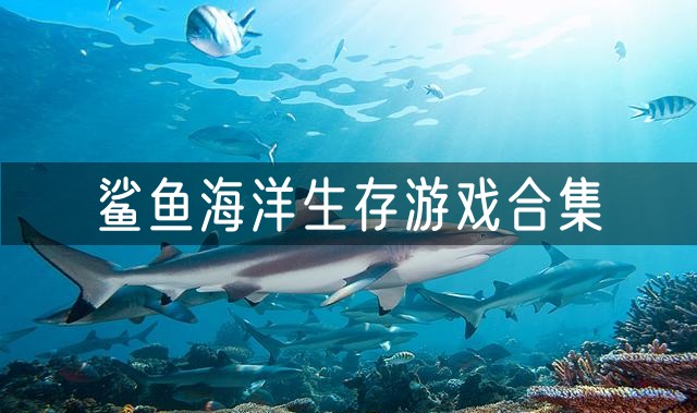 鲨鱼海洋生存类游戏