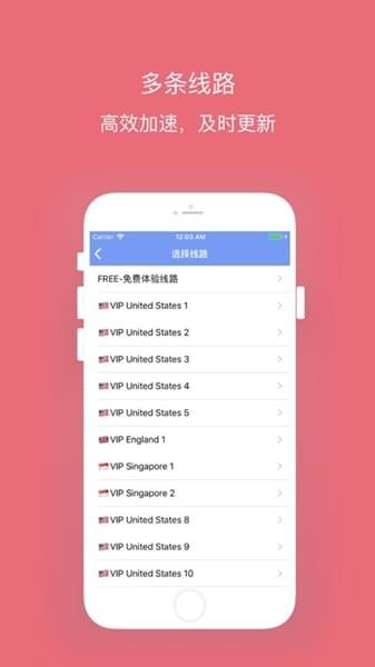 西柚加速器截图2