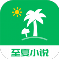 至夏小说