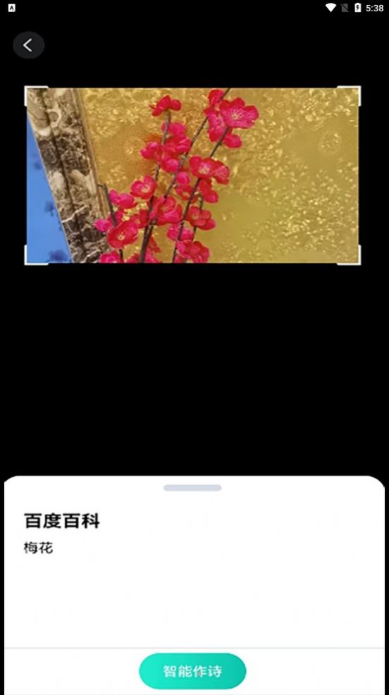 智能识别王app截图1