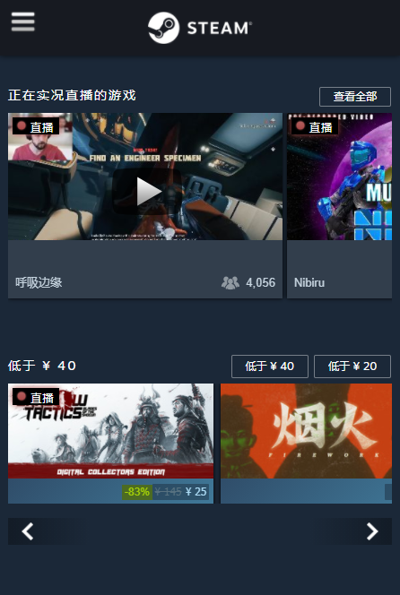 掌上Steam手机版截图2