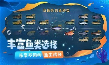 一只鱼免广告版截图2