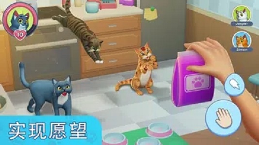 我的宠物猫模拟器安卓版截图2