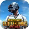 pubg地铁逃生绿体文件2.8最新版