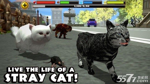 流浪猫模拟器