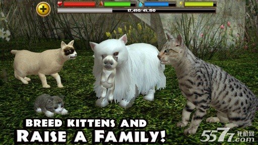 流浪猫模拟器