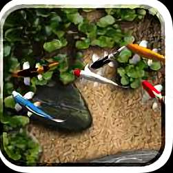 自由锦鲤动态壁纸