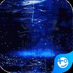 杯莫停刷金当真米版