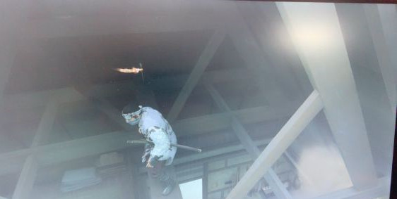 5分钟精心打造营养快手菜 芦笋炒豆皮