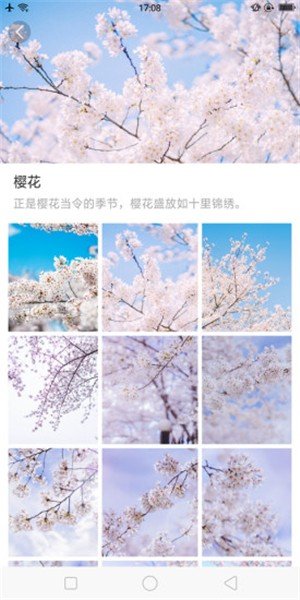 大脚壁纸-1 大脚壁纸