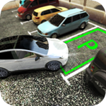 真实停车高手中文版