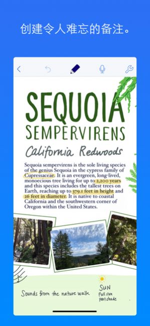 Notability学习笔记