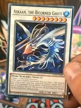 游戏王tcg鱼族新系列Ghoti效果