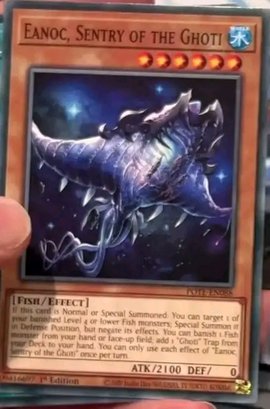 游戏王tcg鱼族新系列Ghoti效果