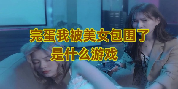完蛋我被美女包圍了是什么游戲