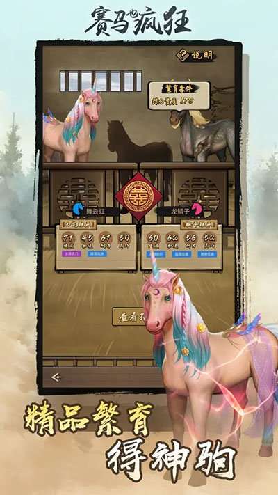 赛马也疯狂 疯狂的赛马游戏3