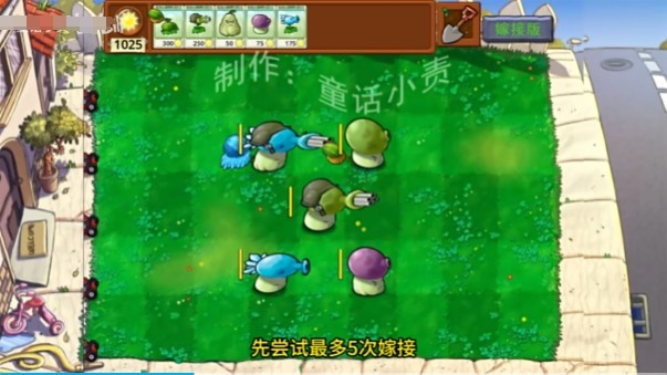 pvz自由嫁接版下载