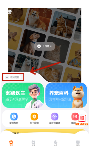 宠爱app