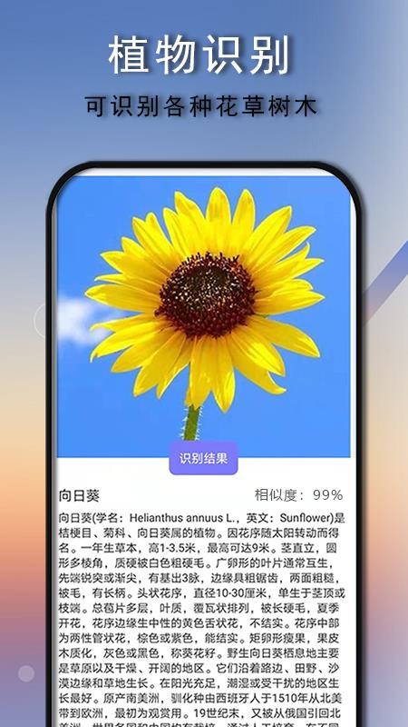 拍照识别免费版-2 拍照识别免费版