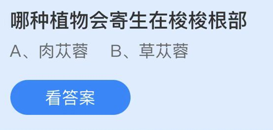 螞蟻莊園:哪種植物會(huì)寄生在梭梭根部