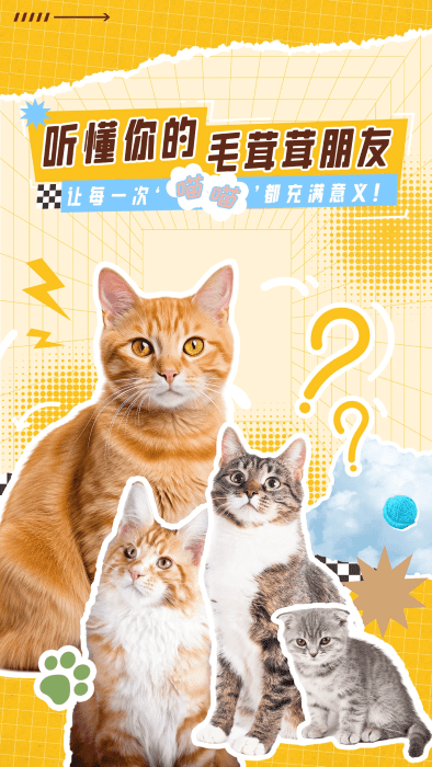 翻译猫语