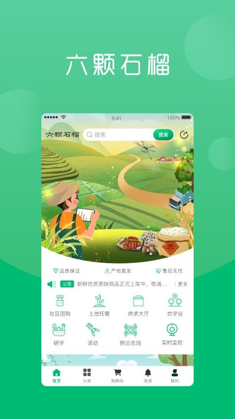 六棵石榴app