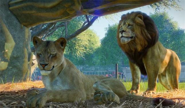 动物园之星免费中文版