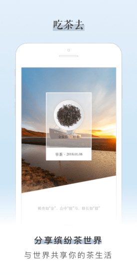 吃茶去app