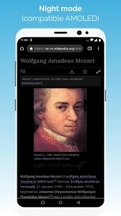 kiwibrowser浏览器2