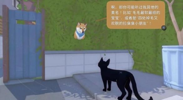 小猫咪大城市手机版