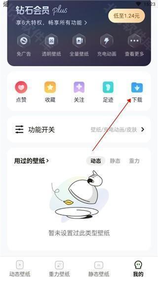 皮皮动态壁纸app图片13