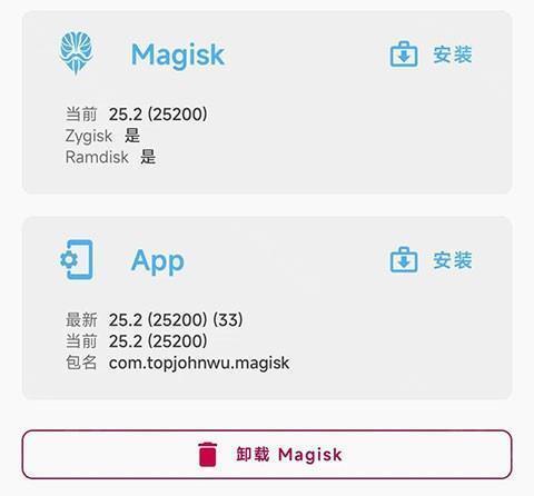 Magisk Delta app7