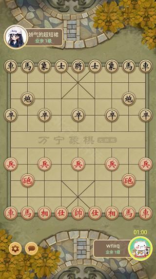 万宁象棋大招版