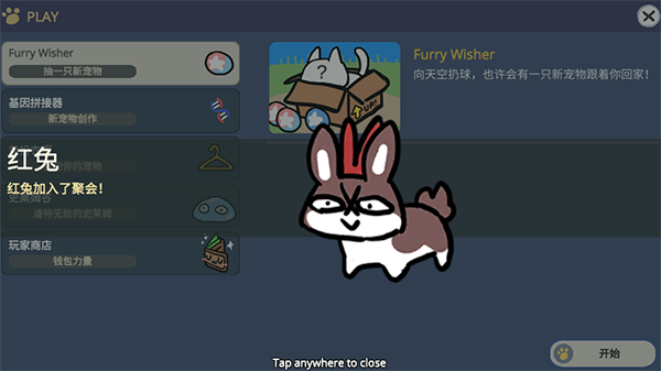 furrywisher