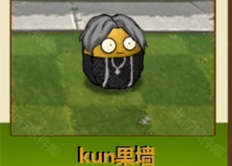 ikun大战黑子版pvz‌