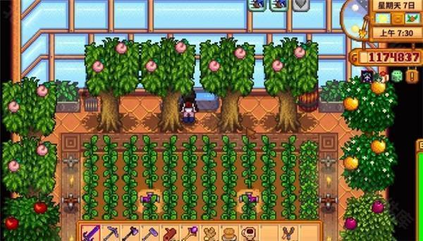 StardewValley手机版