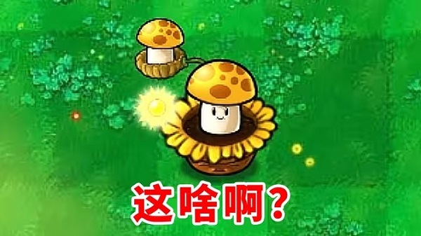 植物大战僵尸随机盲盒版