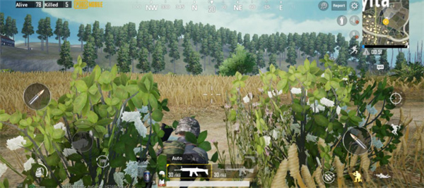 pubgmobile地铁逃生国际服